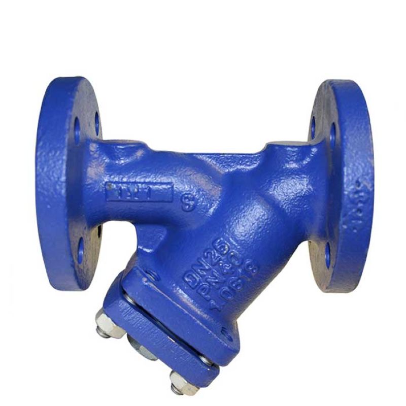 Cast Iron Y Type Strainers