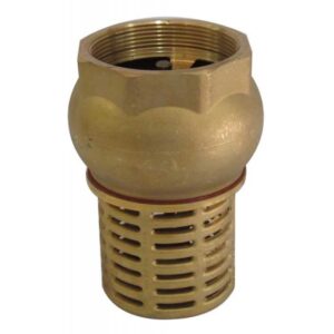 Foot Valve