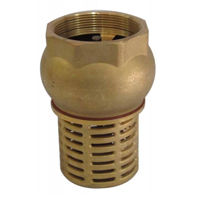 Foot Valve