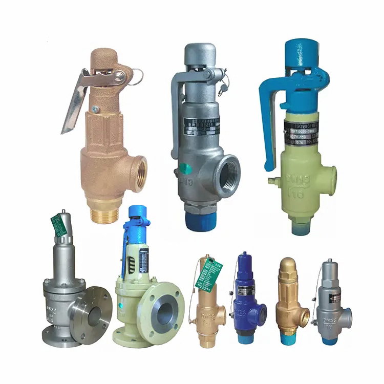 Safety Relief Valve