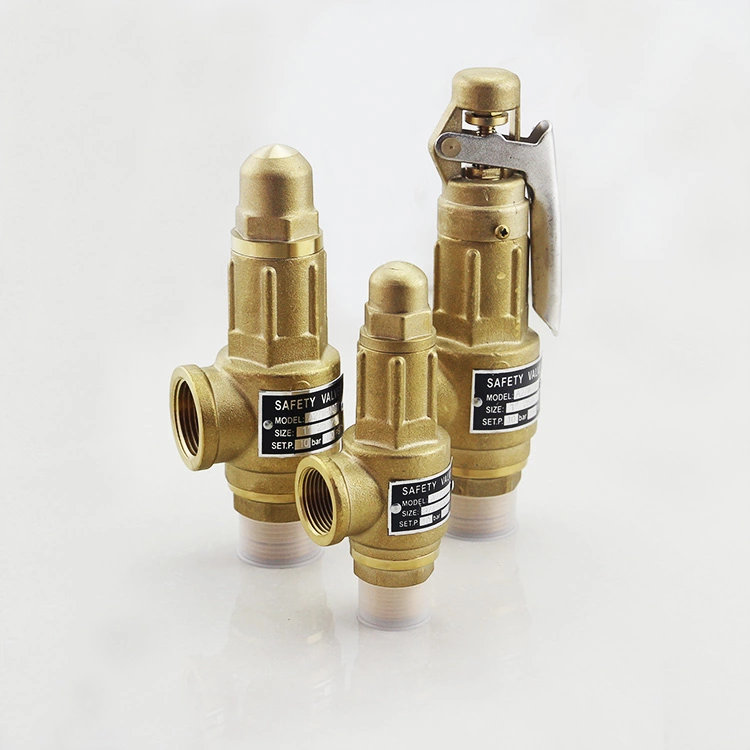 Safety Relief Valve - Image 4