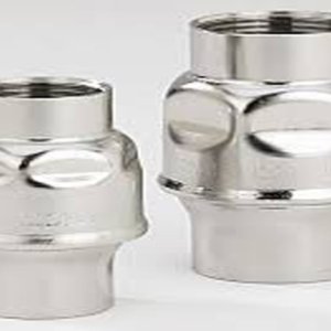 Stainless Steel Vertical Spring Type Check Valve