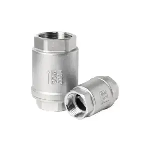 Stainless Steel Vertical Spring Type Check Valve
