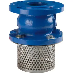 Cast Iron / Ductile Iron Foot Valves